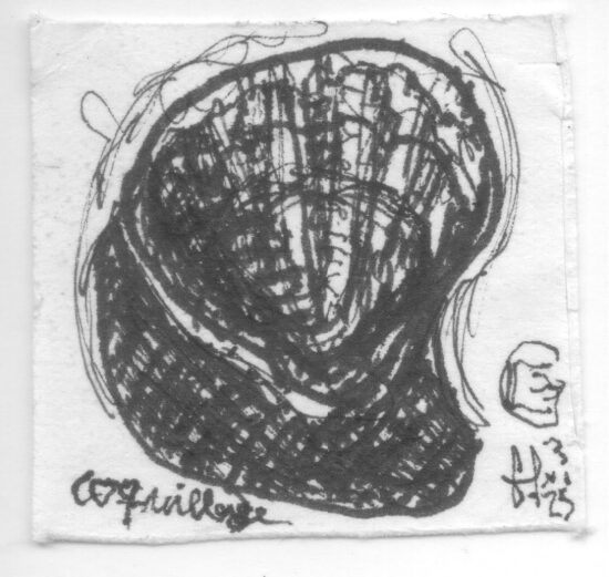 Coquillage, 2025