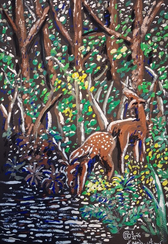 Cerfs 2, d'après Aimé, 2026