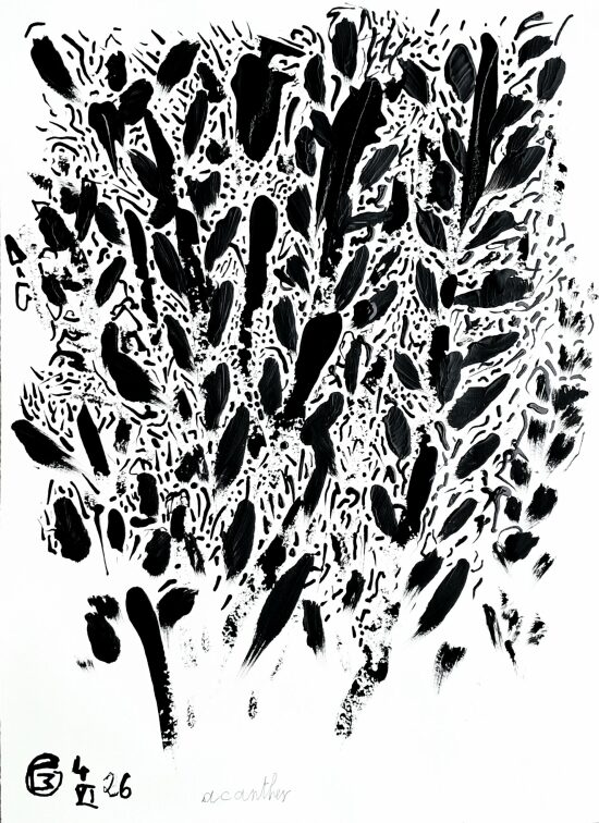 Acanthes, 2026