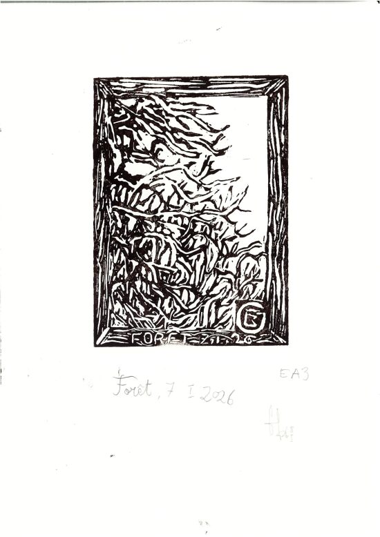 Forêt 2, 2026