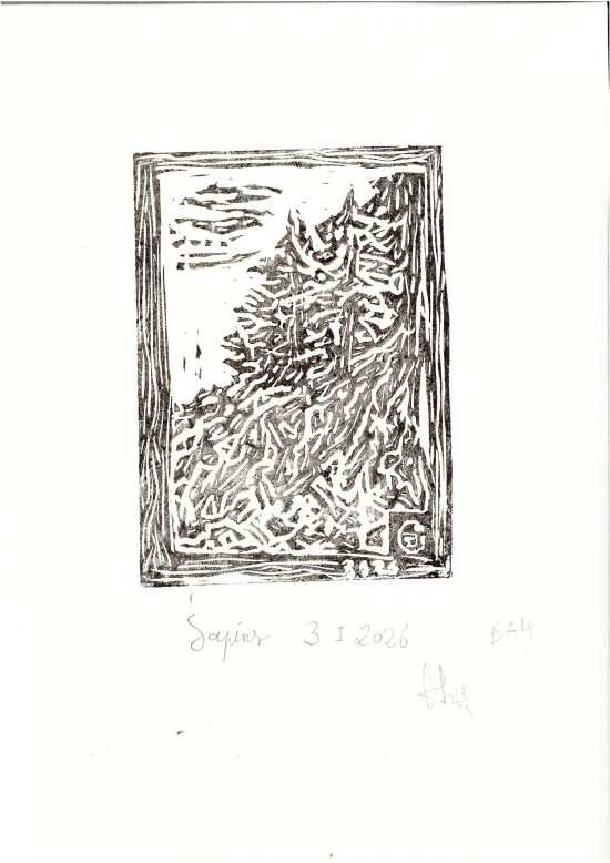 Forêt 1, 2026