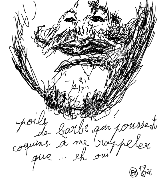 Poil blanc, 2026